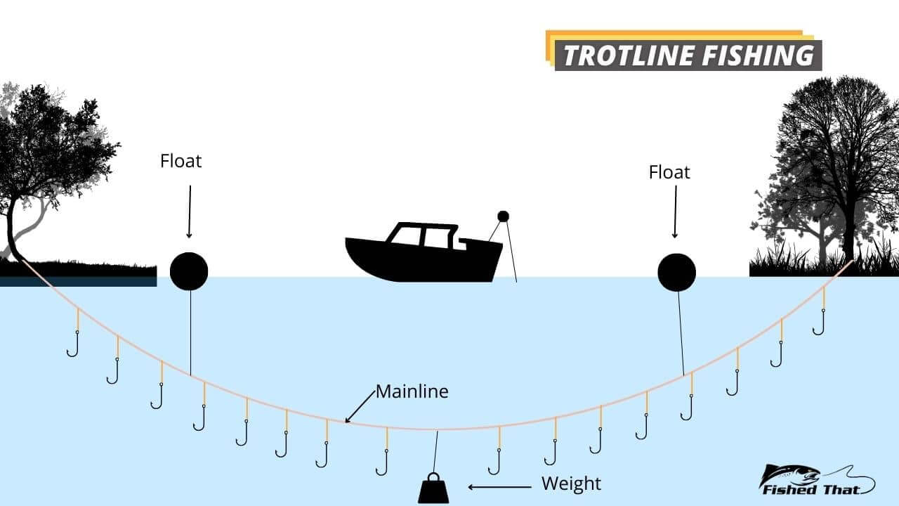 /images/what-is-trotline-fishing.jpg